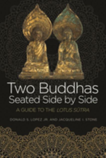 Two Buddhas Seated Side by Side: A Guide to the Lotus Sutra  2019 9780691174204 Front Cover
