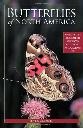 Butterflies of North America   2004 9781402786204 Front Cover