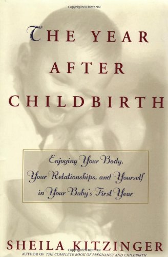 Year after Childbirth  1996 9780684825205 Front Cover
