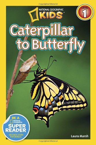 National Geographic Readers: Caterpillar to Butterfly   2012 9781426309205 Front Cover