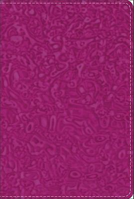 GW Compact Bible Raspberry Swirl Duravella  N/A 9780801014208 Front Cover