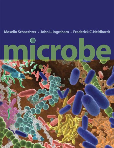 Microbe   2006 9781555813208 Front Cover