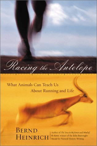 Racing the Antelope What Animals Can Teach Us about Running and Life  2001 9780060199210 Front Cover