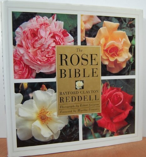 Rose Bible   1994 9780517588215 Front Cover