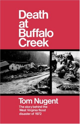 Death at Buffalo Creek The Story Behind the West Virginia Flood Disaster Of 1972 N/A 9780393332216 Front Cover