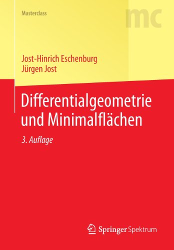 Differentialgeometrie und Minimalflï¿½chen  3rd 2014 9783642385216 Front Cover