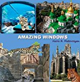 Amazing Windows  N/A 9781466212220 Front Cover