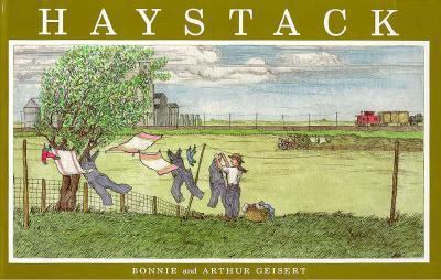 Haystack   1995 (Teachers Edition, Instructors Manual, etc.) 9780395697221 Front Cover