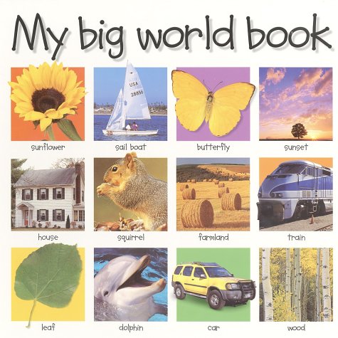 My Big World Book   2002 (Revised) 9780312491222 Front Cover