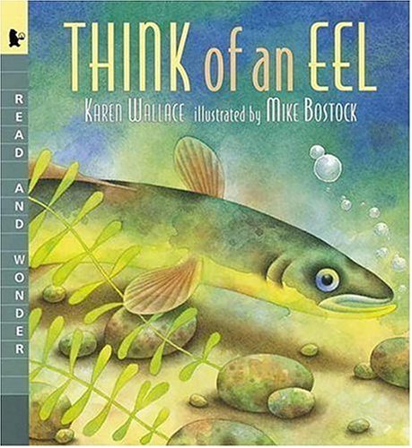 Think of an Eel Read and Wonder N/A 9780763615222 Front Cover