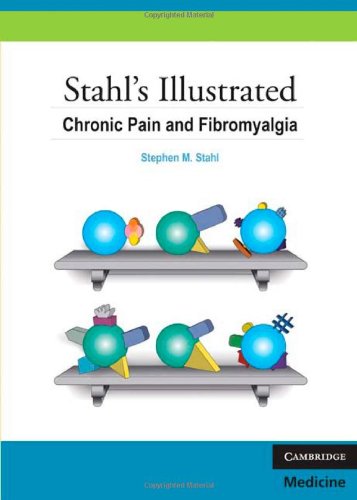 Chronic Pain and Fibromyalgia   2010 9780521133227 Front Cover