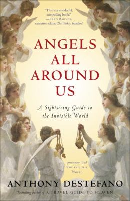 Angels All Around Us A Sightseeing Guide to the Invisible World N/A 9780385522229 Front Cover