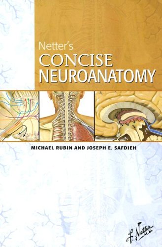 Netter's Concise Neuroanatomy   2007 9781933247229 Front Cover