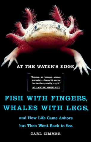 At the Water's Edge Fish with Fingers, Whales with Legs, and How Life Came Ashore but Then Went Back to Sea  1999 9780684856230 Front Cover