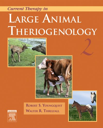 Current Therapy in Large Animal Theriogenology  2nd 2007 (Revised) 9780721693231 Front Cover