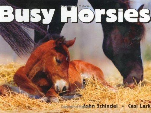 Busy Horsies  N/A 9781582462233 Front Cover