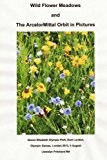 Wild Flower Meadows and the ArcelorMittal Orbit in Pictures  N/A 9781493652235 Front Cover