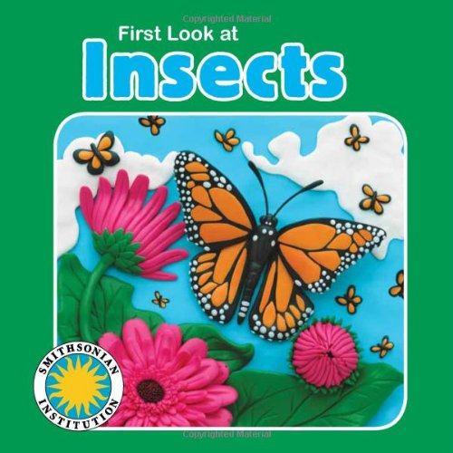 First Look at Insects   2011 9781607272236 Front Cover