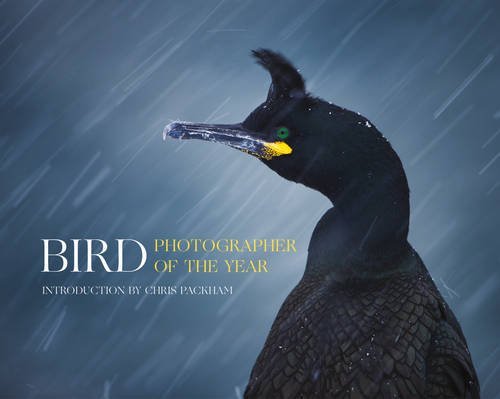 Bird Photographer of the Year   2016 9780008175238 Front Cover