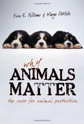 Why Animals Matter The Case for Animal Protection  2007 9781591025238 Front Cover