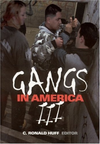 Gangs in America III  3rd 2001 9780761924241 Front Cover
