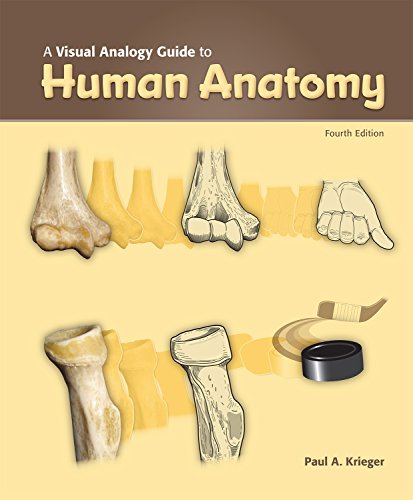 VISUAL ANALOGY GUIDE TO HUMAN ANATOMY   N/A 9781617316241 Front Cover