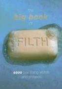 Big Book of Filth 6500 Sex Slang Words and Phrases N/A 9780304368242 Front Cover