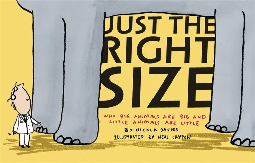 Just the Right Size Why Big Animals Are Big and Little Animals Are Little N/A 9780763639242 Front Cover