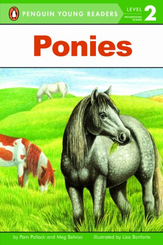 Ponies   2003 9780448425245 Front Cover