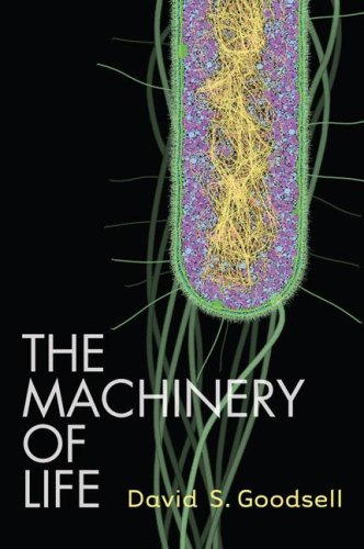 Machinery of Life  2nd 2009 9780387849249 Front Cover