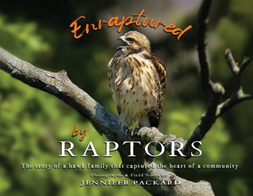 Enraptured by Raptors 1st 9780578737249 Front Cover
