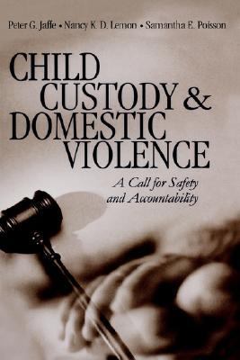 Child Custody and Domestic Violence A Call for Safety and Accountability  2002 9780761918257 Front Cover