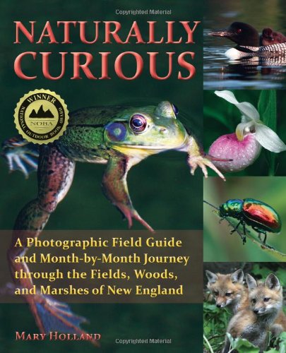 Naturally Curious A Photographic Field Guide and Month-by-Month Journey Through the Fields, Woods, and Marshes of New England  2010 9781570764257 Front Cover