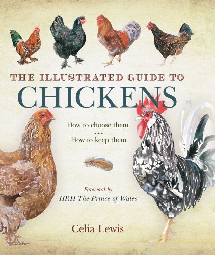Illustrated Guide to Chickens How to Choose Them, How to Keep Them N/A 9781616084257 Front Cover