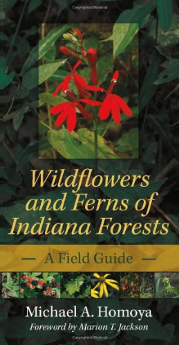 Wildflowers and Ferns of Indiana Forests A Field Guide  2011 9780253223258 Front Cover