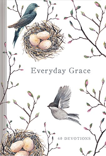 Everyday Grace 60 Devotions N/A 9781633261259 Front Cover