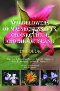 Wildflowers of Massachusetts, Connecticut, and Rhode Island in Color   2008 9780815609261 Front Cover