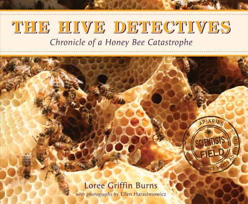 Hive Detectives Chronicle of a Honey Bee Catastrophe  2010 9780544003262 Front Cover