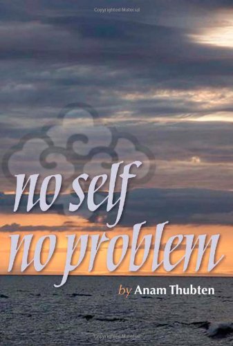 No Self No Problem   2009 9781559393263 Front Cover
