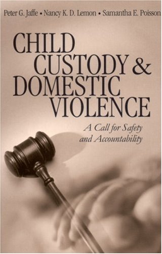 Child Custody and Domestic Violence A Call for Safety and Accountability  2002 9780761918264 Front Cover