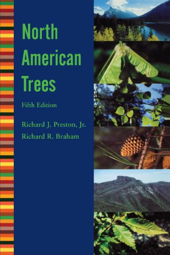 North American Trees  5th 2003 9780813815268 Front Cover