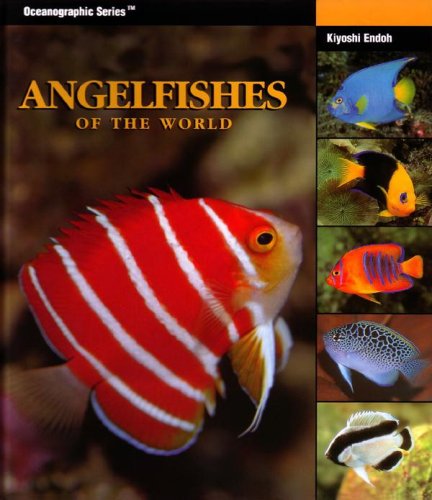 Angelfishes of the World  2007 9781883693268 Front Cover