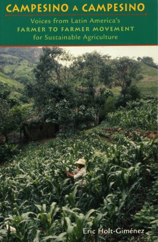 Campesino a Campesino Voices from Latin America's Farmer to Farmer Movement for Sustainable Agriculture  2006 9780935028270 Front Cover