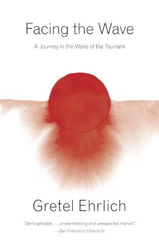 Facing the Wave A Journey in the Wake of the Tsunami N/A 9780307949271 Front Cover