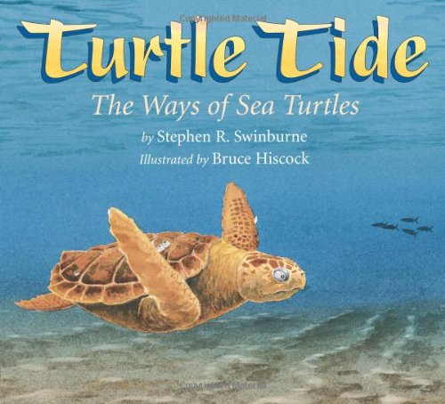 Turtle Tide The Ways of Sea Turtles  2010 9781590788271 Front Cover