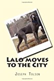 Lalo Moves to the City  N/A 9781492841272 Front Cover