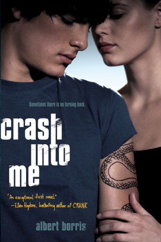 Crash into Me  N/A 9781416998273 Front Cover