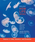 Biology: How Life Works (Chapters 1-24)  2013 9781464104275 Front Cover