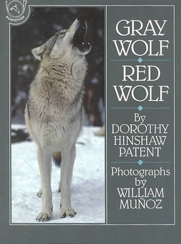 Gray Wolf, Red Wolf   1994 9780395696279 Front Cover