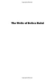 Wells of Belisa Kulal An African Spy Adventure N/A 9781492873280 Front Cover